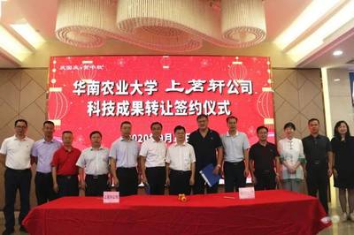 新華章，耀茶界 上茗軒旗艦店開業慶典暨華南農業大學科技成果轉讓簽約儀式圓滿落幕