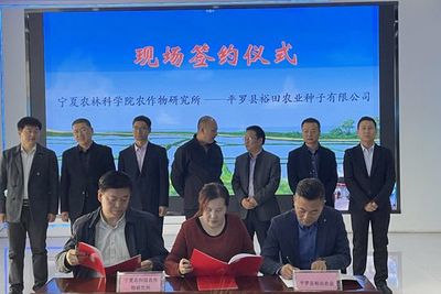 大豆新品種成果轉化 裕田農業成寧夏產業新亮點